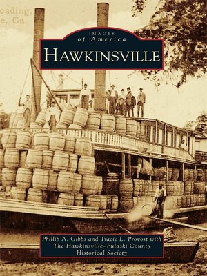 cover image of Hawkinsville